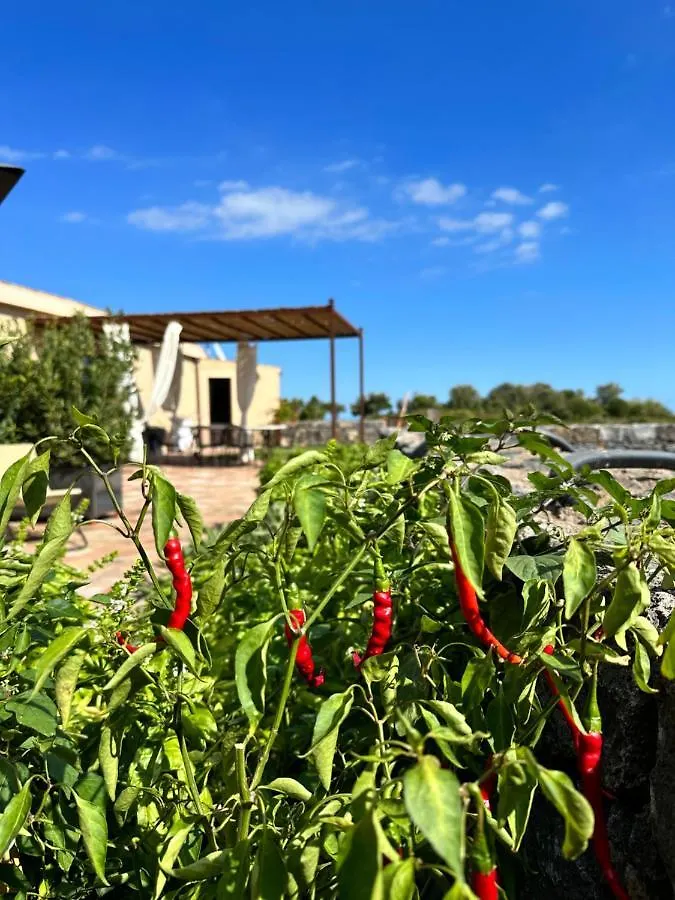 La Cantina Villa Di Campagna Acireale Διαμέρισμα